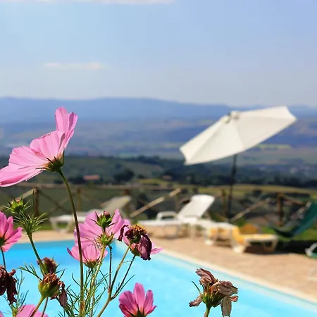 San Giovanni Al Monte * Collazzone