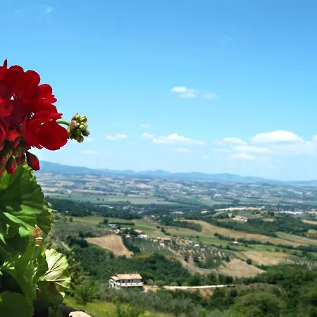 Vakantieboerderij San Giovanni Al Monte Collazzone